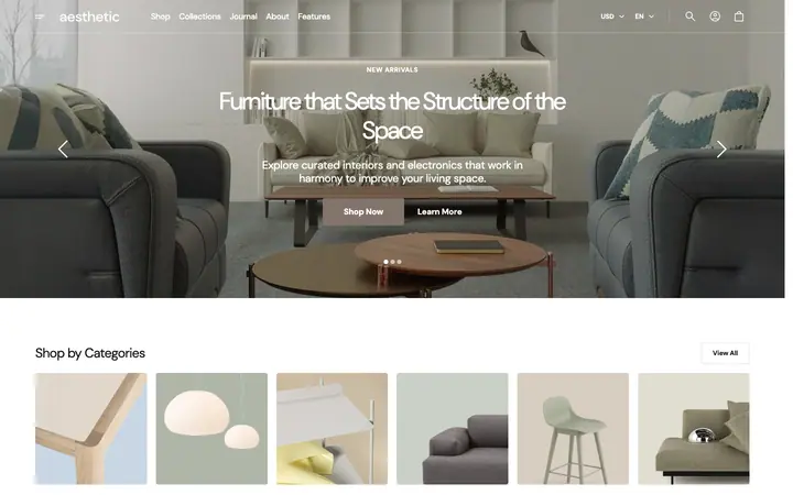 Aesthetic Shopify teması demo mağaza görünümü