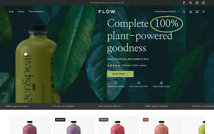 Flow Shopify teması demo mağaza görünümü